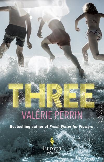 Cover for Valérie Perrin · Three (Hardcover bog) (2022)