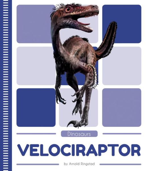 Cover for Arnold Ringstad · Velociraptor - Dinosaurs (Paperback Book) (2019)