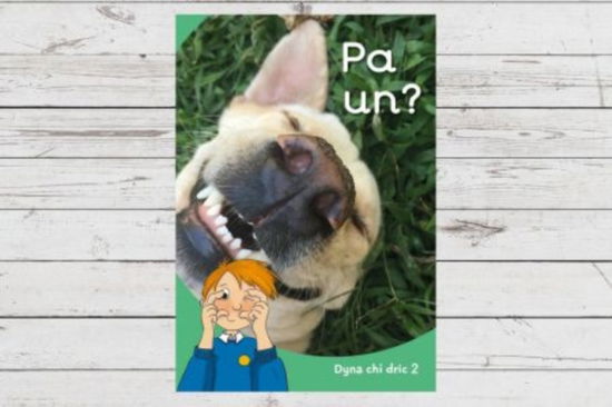 Dyna Chi Dric: Pa Un? - Eirian Lloyd Jones - Books - Canolfan Peniarth - 9781783904556 - March 4, 2024