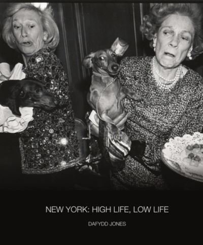 Cover for Dafydd Jones · New York: High Life / Low Life - Dafydd Jones (Innbunden bok) (2024)