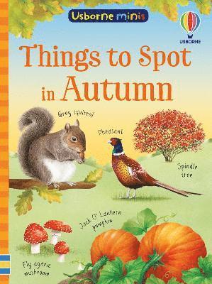 Things to Spot in Autumn - Usborne Minis - Simon Tudhope - Books - Usborne Publishing Ltd - 9781835403556 - September 11, 2025