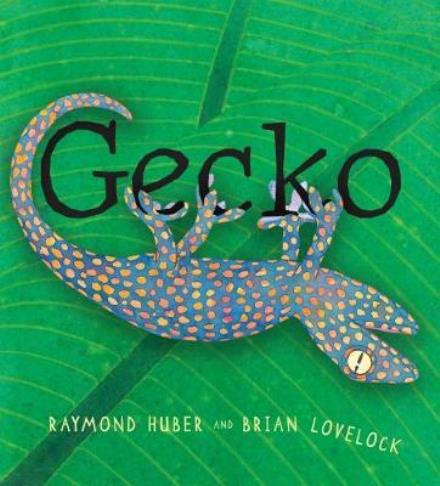 Cover for Raymond Huber · Gecko (Hardcover Book) (2017)