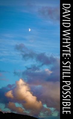 Still Possible - David Whyte - Livros - MANY RIVERS PR - 9781932887556 - 1 de dezembro de 2021