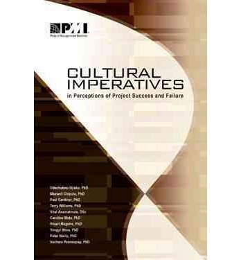 Cover for Project Management Institute · Cultural imperatives in perceptions of project success and failure (Pocketbok) (2012)