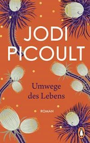 Cover for Jodi Picoult · Umwege des Lebens (Bog) (2022)