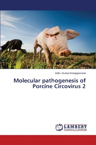 Cover for Anbu Kumar Karuppannan · Molecular Pathogenesis of Porcine Circovirus 2 (Pocketbok) (2013)