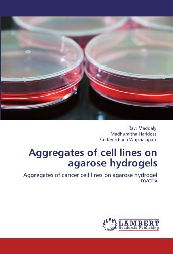 Cover for Sai Keerthana Wuppalapati · Aggregates of Cell Lines on Agarose Hydrogels: Aggregates of Cancer Cell Lines on Agarose Hydrogel Matrix (Paperback Bog) (2012)