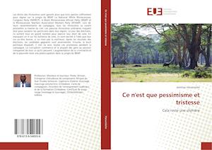 Cover for Haruzivishe · Ce n'est que pessimisme et (Book)