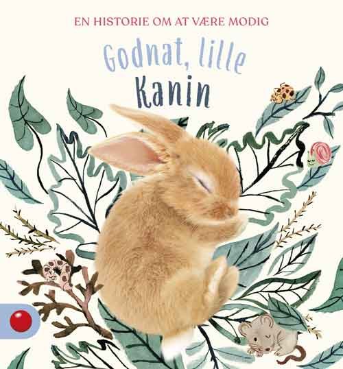 Godnat, lille Kanin (Bound Book) [1.º edición] (2024)