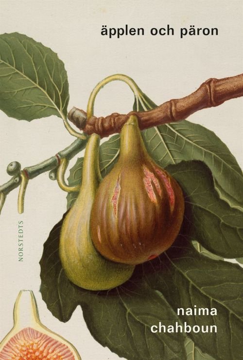 Äpplen och päron - Chahboun Naima - Boeken - Norstedts - 9789113088556 - 31 juli 2019