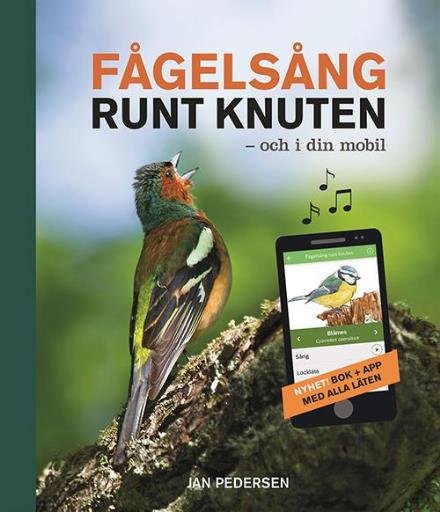 Fågelsång runt knuten - och i din mobil - Pedersen Jan - Bøger - Bokförlaget Semic - 9789155262556 - 17. september 2015