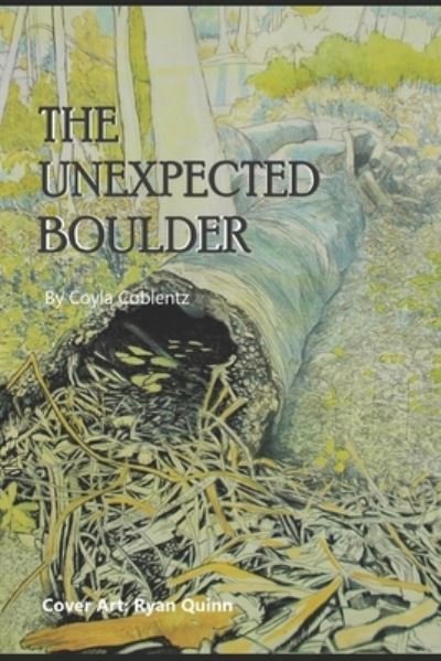 Cover for Coyla Coblentz · The Unexpected Boulder (Taschenbuch) (2020)
