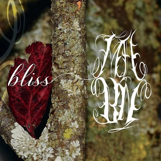 Bliss - My Absence By Now - Music - THE CIRCLE MUSIC - 0634240127557 - June 22, 2023