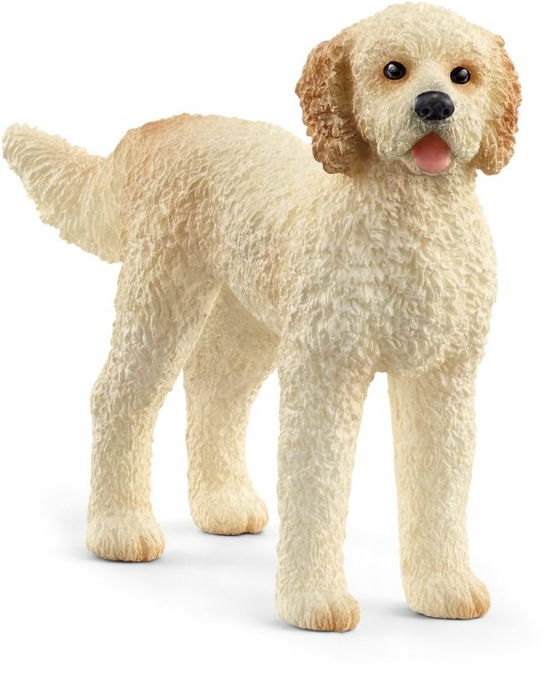 Cover for Schleich · Goldendoodle Schleich (13939) (Toys)