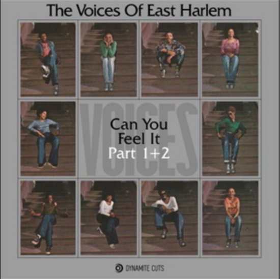 Cover for Voices Of East Harlem · Can You Feel It (LP) (2023)