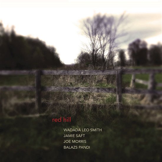Red Hill - Wadada Leo Smith, Jamie Saft, Joe Morris, Balazs Pandi - Music - RareNoise Records - 5060197760557 - September 22, 2014