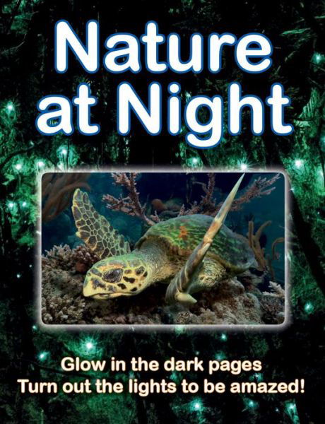 Cover for Lisa Regan · Nature at Night (Hardcover Book) (2020)