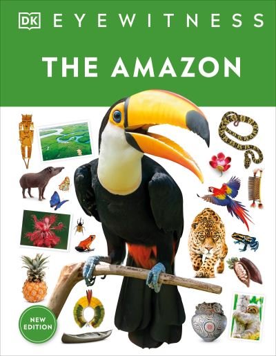 Cover for Dk · Eyewitness The Amazon (Hardcover Book) (2022)
