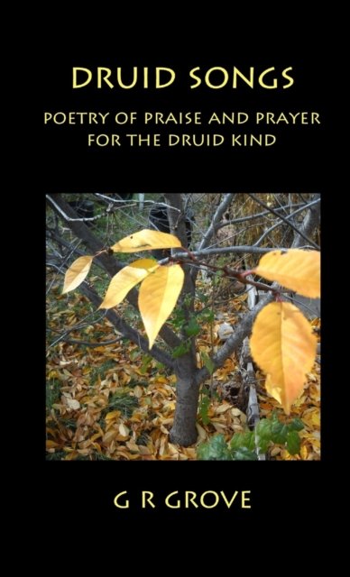 Cover for G. R. Grove · Druid Songs (Paperback Bog) (2013)