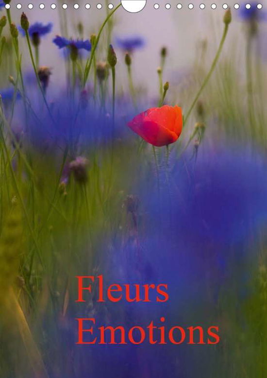 Cover for Leroy · Fleurs émotions (Calendrier mural (Bok)