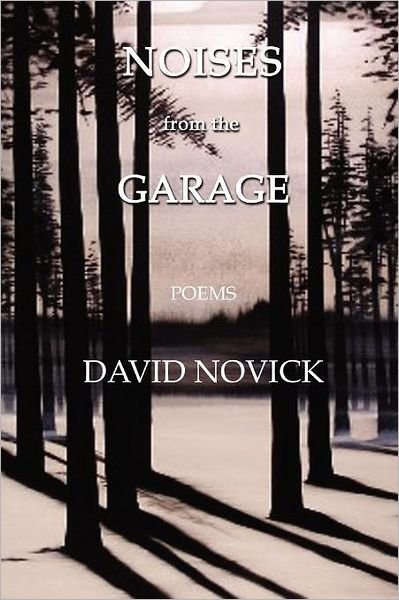 Cover for David Novick · Noises from the Garage (Pocketbok) (2012)