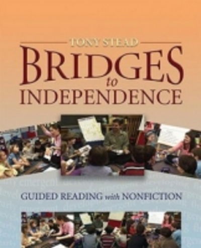 Cover for Tony Stead · Bridges to Independence (DVD) (2006)