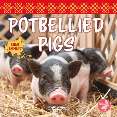 Cover for Alicia Rodriguez · Potbellied Pigs (Book) (2022)