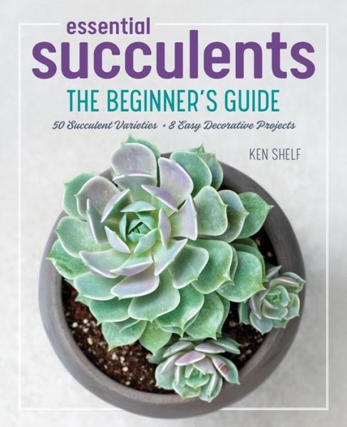 Essential Succulents: The Beginner's Guide - Ken Shelf - Books - Callisto Media Inc. - 9781641522557 - December 13, 2018