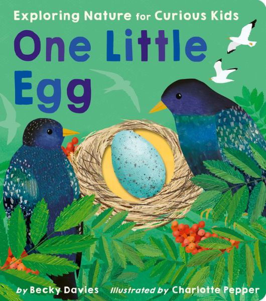 Cover for Becky Davies · One Little Egg: Exploring Nature for Curious Kids - One Little (Board book) (2023)