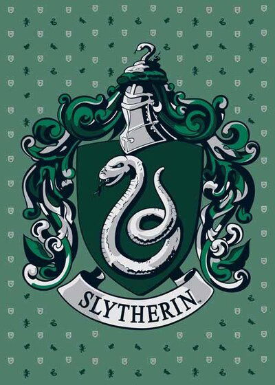 Cover for Insight Editions · Harry Potter: Slytherin Embellished Card - HP Card Embellished (Flashcards) (2020)