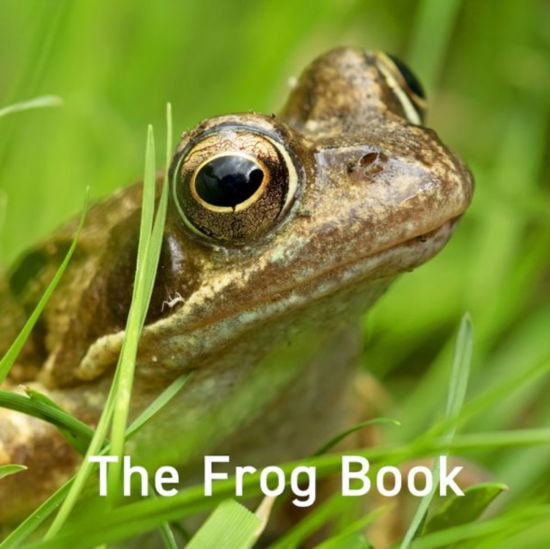 Cover for Jo Byrne · The Frog Book (Hardcover Book) (2023)