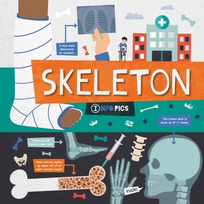 Skeleton - InfoPics - Harriet Brundle - Books - BookLife Publishing - 9781839271557 - July 1, 2021