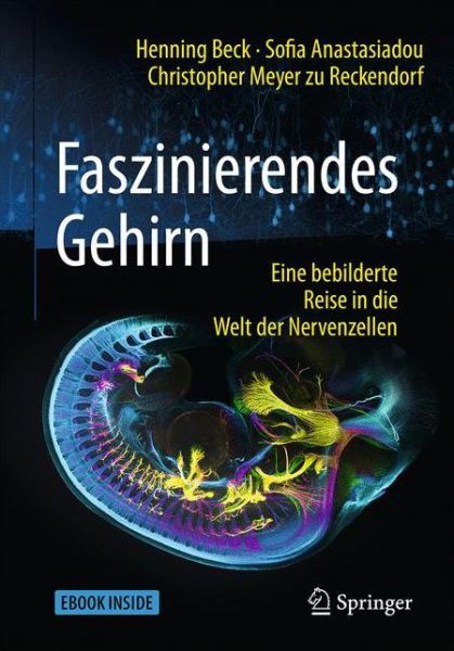 Faszinierendes Gehirn - Beck - Books - Springer Berlin Heidelberg - 9783662547557 - December 15, 2017