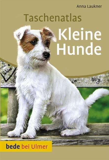 Taschenatlas Kleine Hunde - Laukner - Bücher -  - 9783800176557 - 
