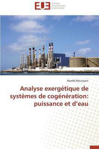 Cover for Bouzayani Nawfel · Analyse Exergétique De Systèmes De Cogénération: Puissance et D'eau (Paperback Book) [French edition] (2018)