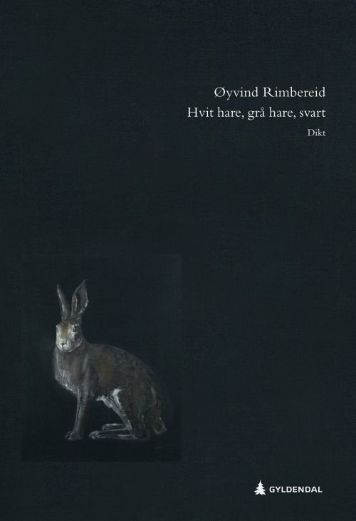 Cover for Rimbereid Øyvind · Hvit hare, grå hare, svart (Innbunden bok) (2019)