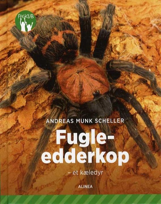 Cover for Andreas Munk Scheller · Fagklub: Fugle-edderkop - et kæledyr, Grøn Fagklub (Indbundet Bog) [1. udgave] (2016)