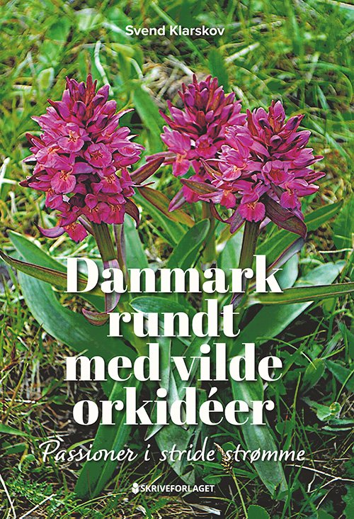 Cover for Svend Klarskov · Danmark rundt med vilde orkidéer (Sewn Spine Book) [1.º edición] (2023)