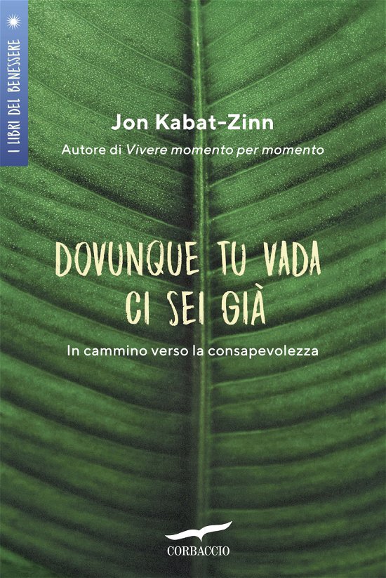 Cover for Jon Kabat-Zinn · Dovunque Tu Vada Ci Sei Gia. In Cammino Verso La Consapevolezza (Bog)