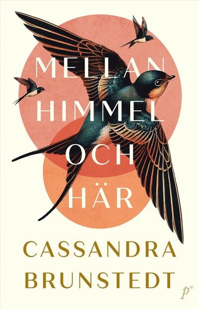 Cover for Cassandra Brunstedt · Mellan himmel och här (Hardcover Book) (2025)