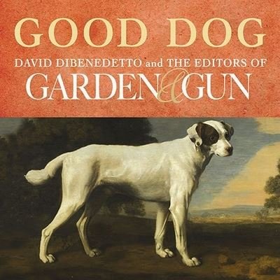 Cover for David DiBenedetto · Good Dog (CD) (2015)