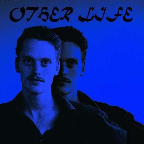 Other Life - Savage Sean Nicholas - Music - ARBUTUS RECORDS - 0627843163558 - May 28, 2013