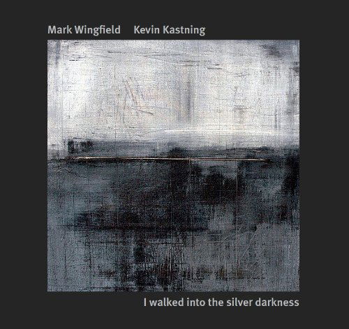 I Walked into the Silver Darkness - Mark Wingfield - Music - Greydisc - 0884501538558 - June 21, 2011