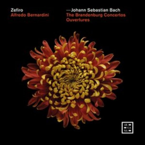 Bach: The Brandenburg Concertos - Ouvertures - Zefiro / Alfredo Bernardini - Musik - ARCANA - 3760195735558 - 20. oktober 2023