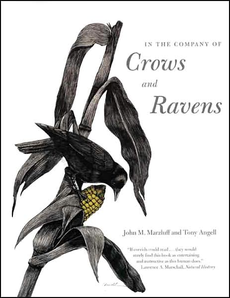 Cover for John M. Marzluff · In the Company of Crows and Ravens (Paperback Book) (2007)