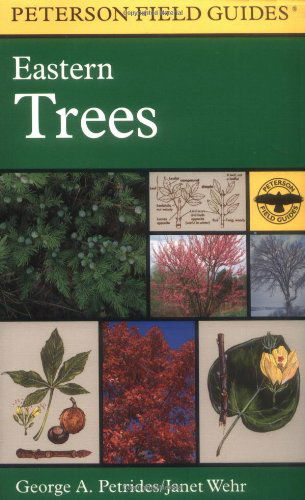 Cover for George A. Petrides · Field Guide to Eastern Trees - Peterson Field Guides (Paperback Book) [2 Revised edition] (1998)