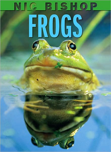 Cover for Nic Bishop · Frogs (Hardcover Book) (2008)