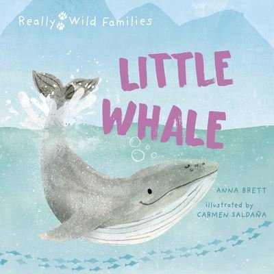 Cover for Anna Brett · Little Whale: A Day in the Life of a Whale Calf - Really Wild Families (Hardcover Book) (2023)