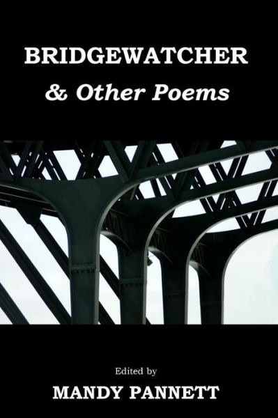 Cover for Various Contributors · Bridgewatcher &amp; Other Poems: Anthology of Poems from the Psychiatry Research Trust Poetry Competition 2013 (Taschenbuch) (2013)