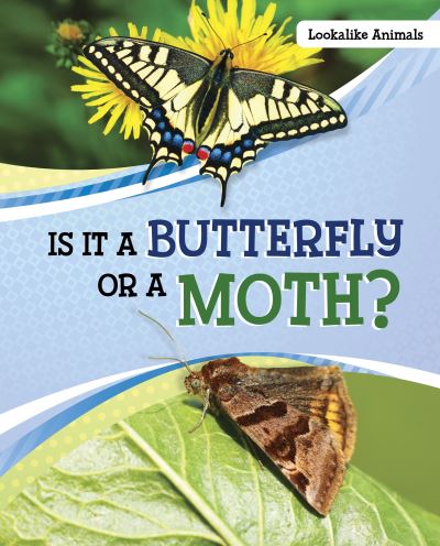 Cover for Susan B. Katz · Is It a Butterfly or a Moth? - Look-Alike Animals (Hardcover Book) (2022)